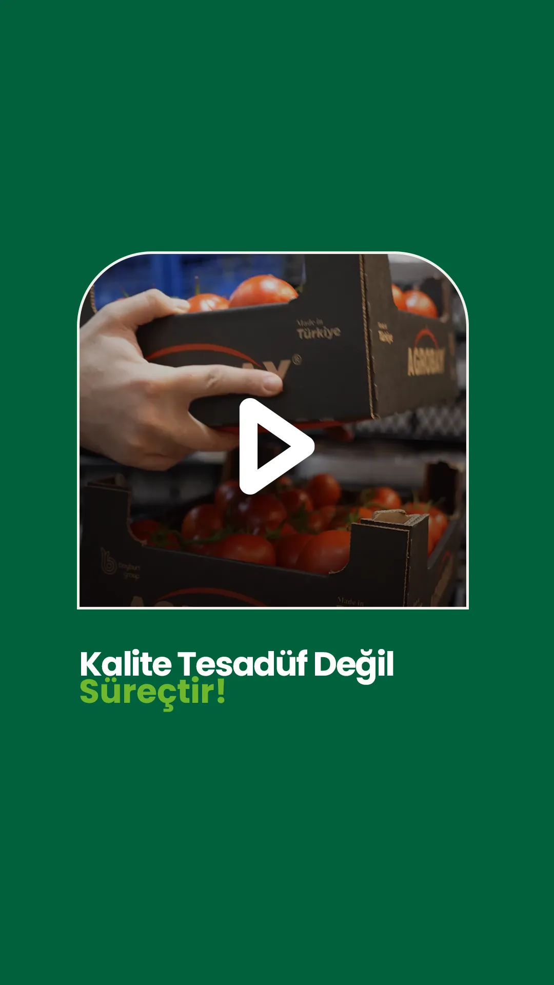 Cesur & Fresh Dijitalleşme Projesi
