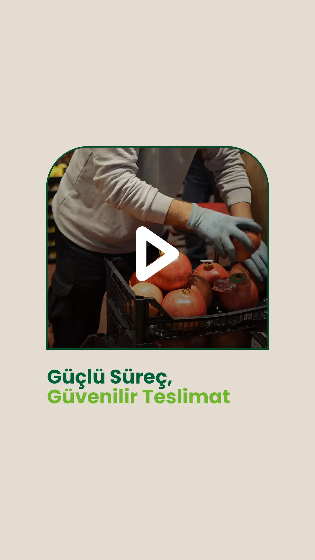 Cesur & Fresh Dijitalleşme Projesi