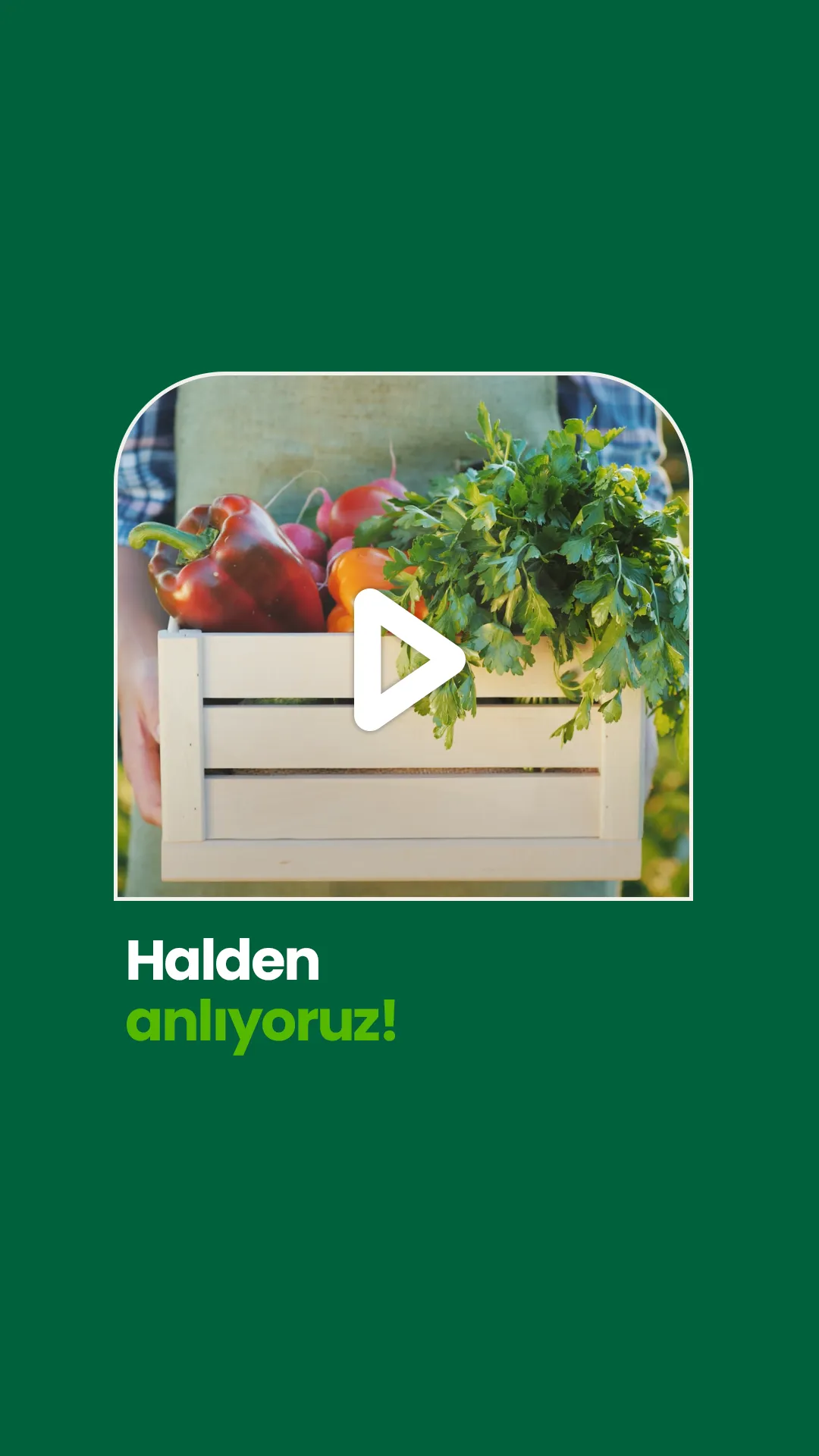 Cesur & Fresh Dijitalleşme Projesi