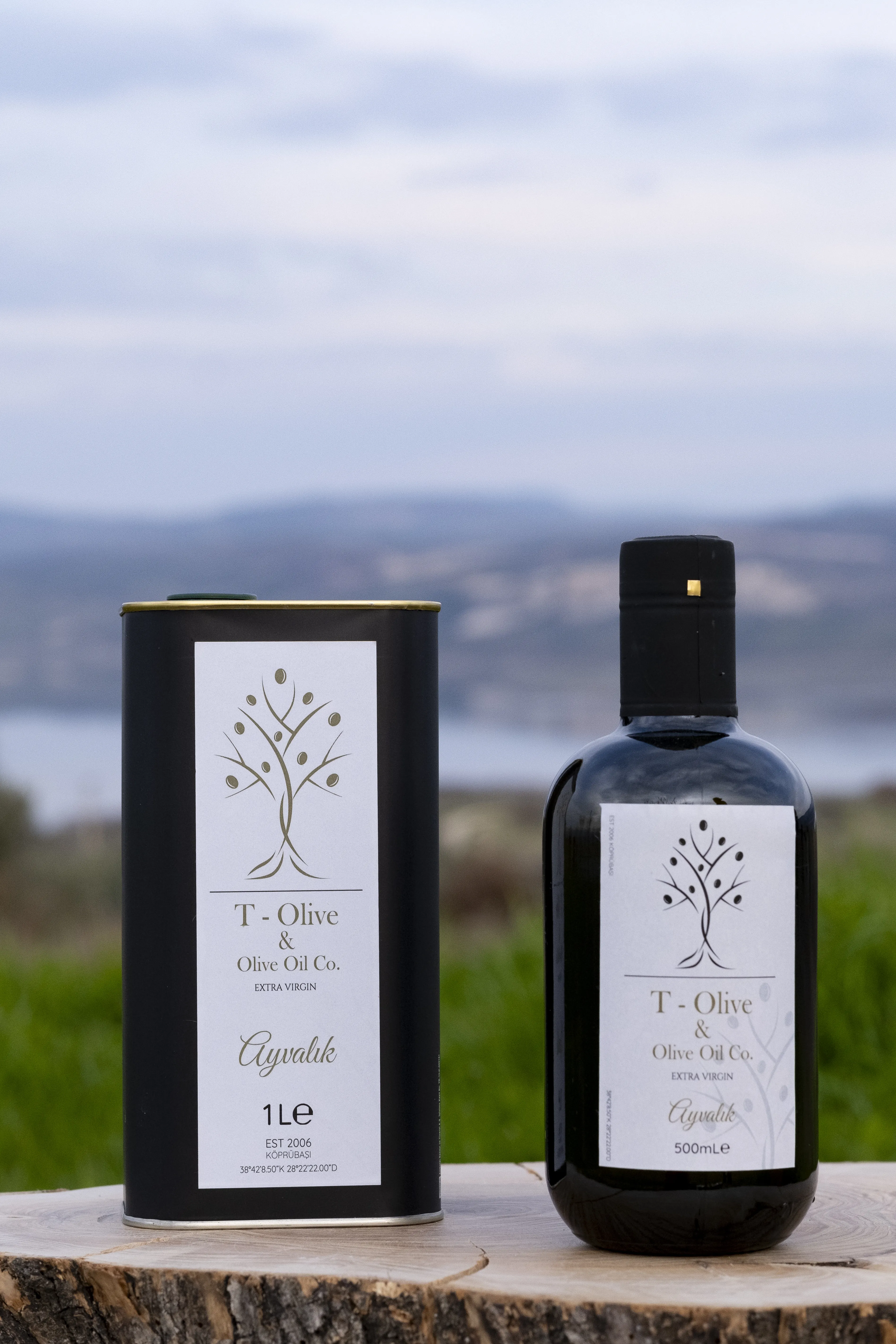 T-Olive Dijital Marka veE-Ticaret Deneyimi