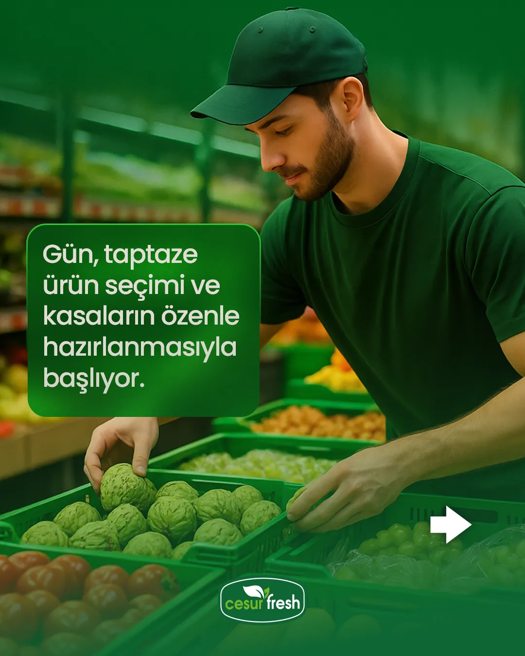 Cesur & Fresh Dijitalleşme Projesi