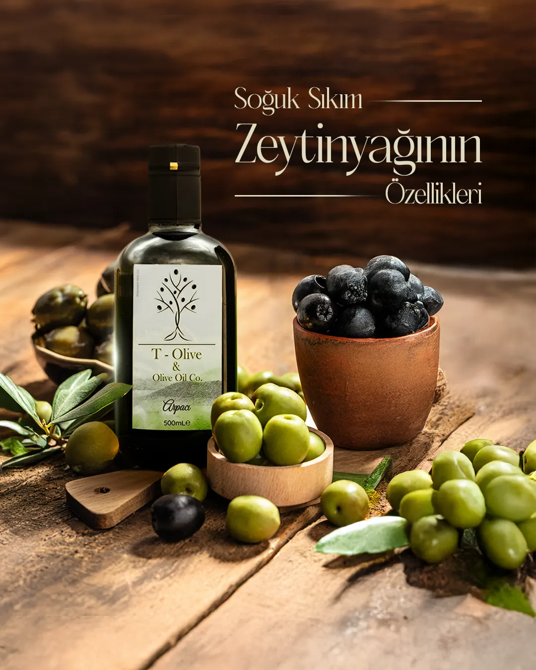 T-Olive Dijital Marka veE-Ticaret Deneyimi