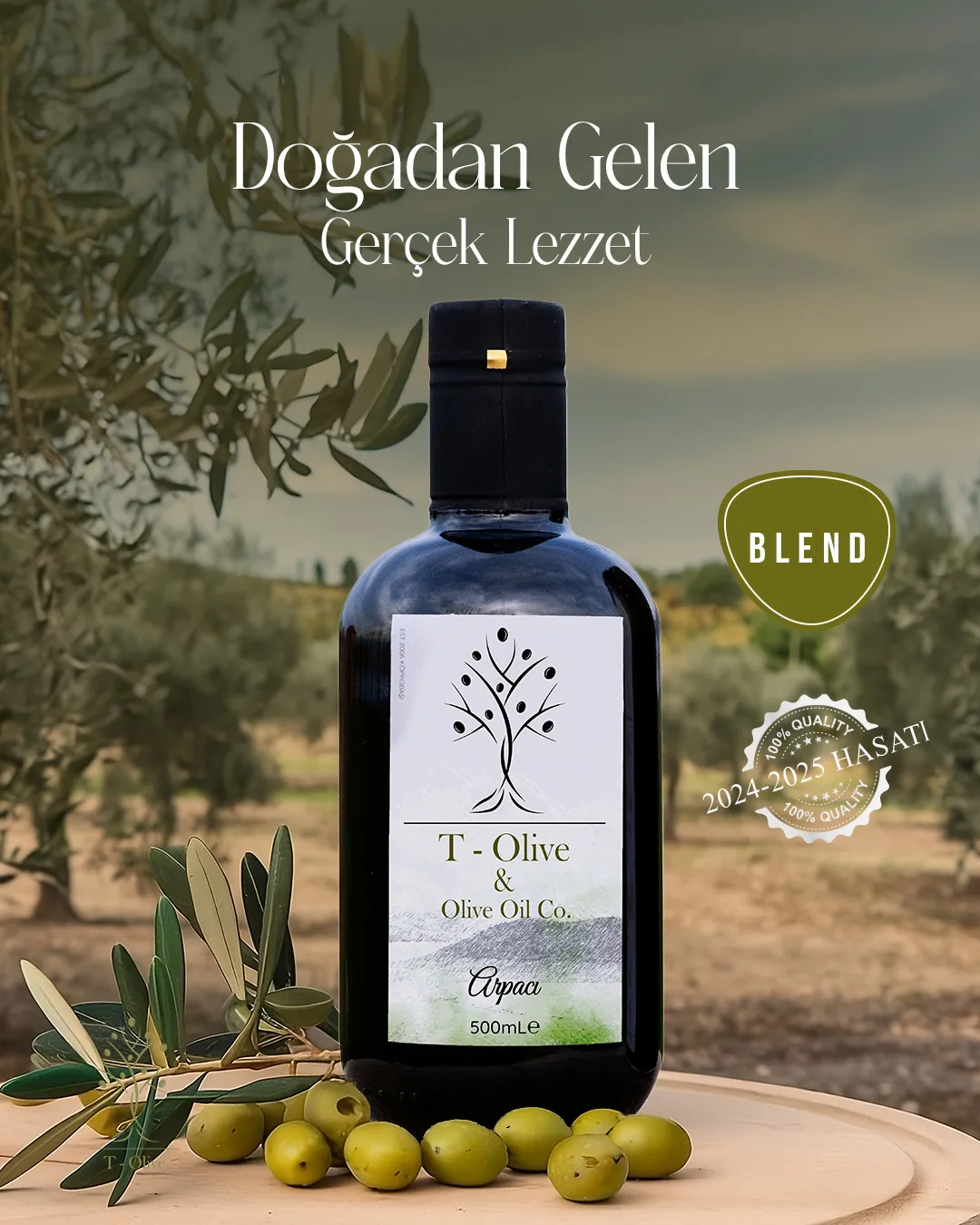 T-Olive Dijital Marka veE-Ticaret Deneyimi