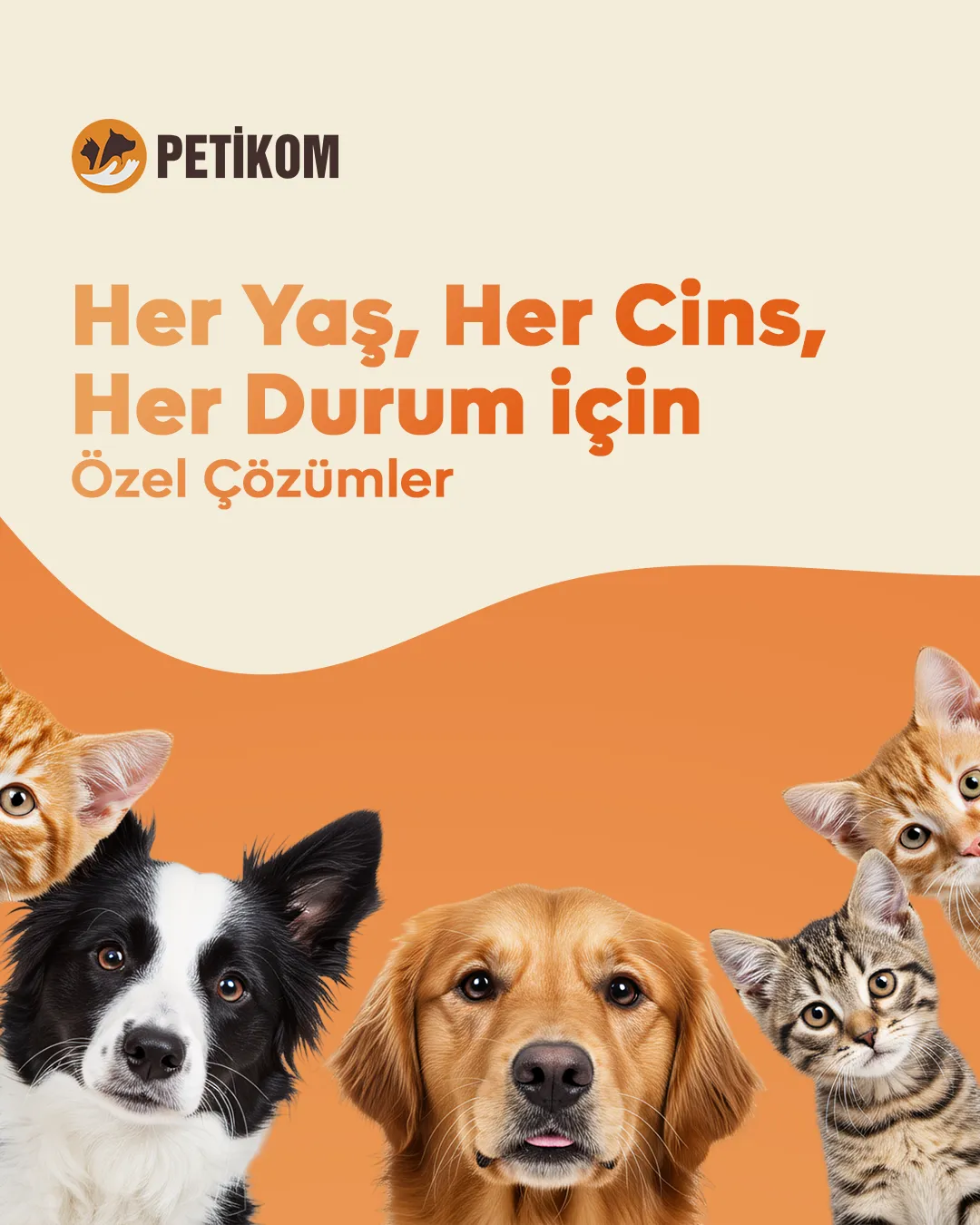 PetikomSosyal Medya & Reklam Yönetimi