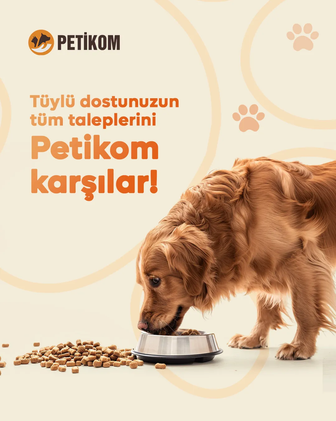 PetikomSosyal Medya & Reklam Yönetimi