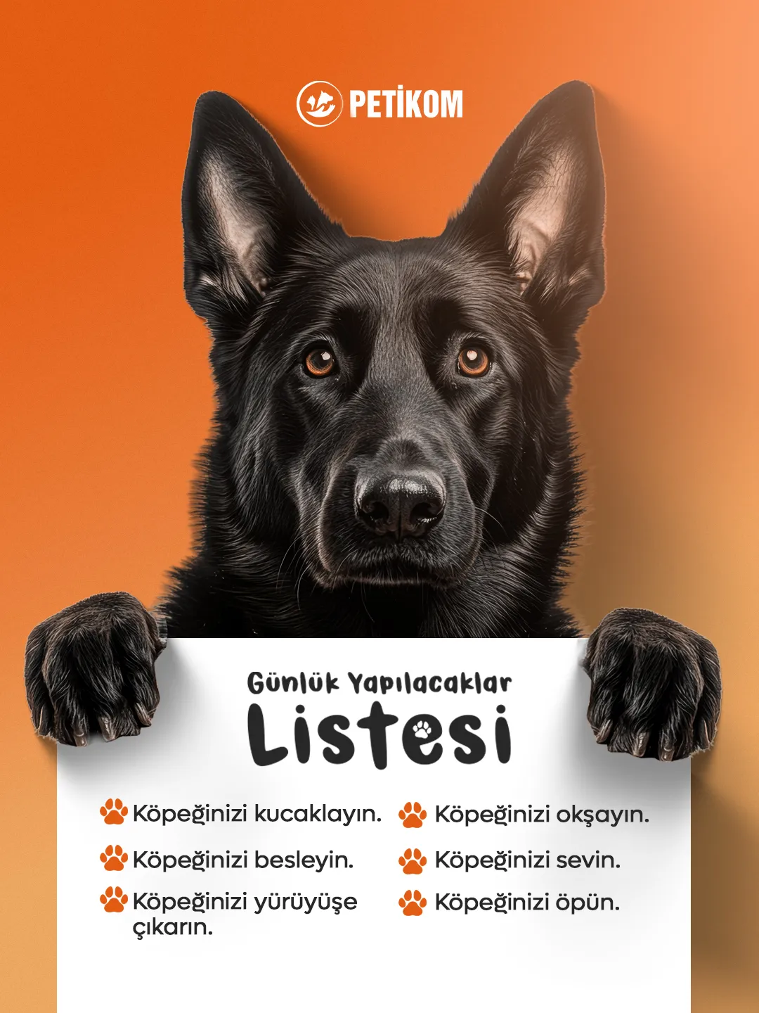 PetikomSosyal Medya & Reklam Yönetimi