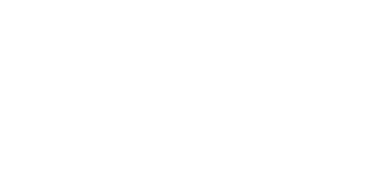 12 logosu