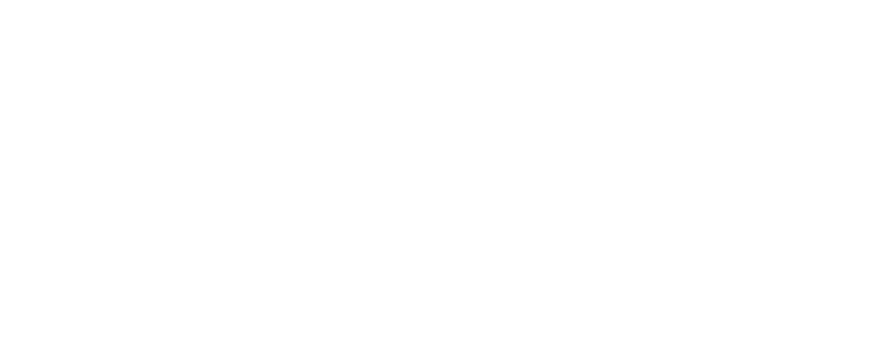 14 logosu